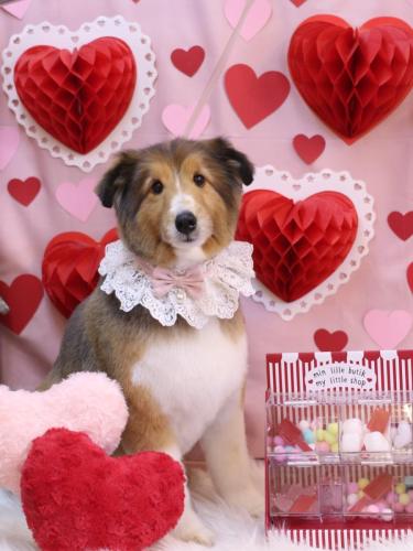 20240212リクくん